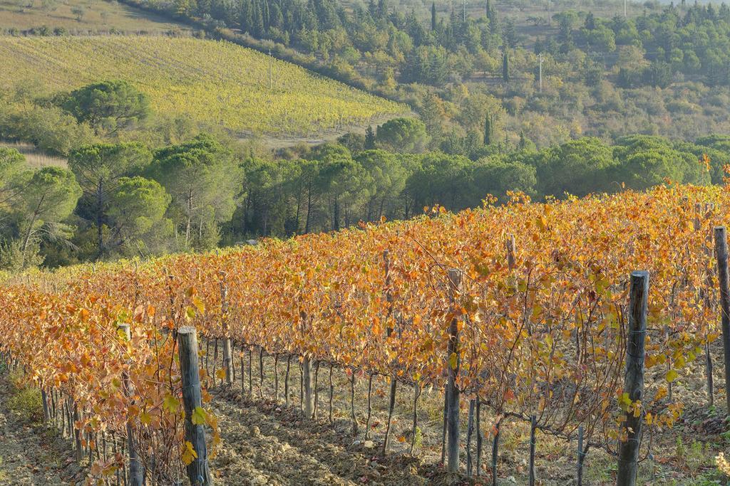 Vakantieboerderij La Presura Strada in Chianti