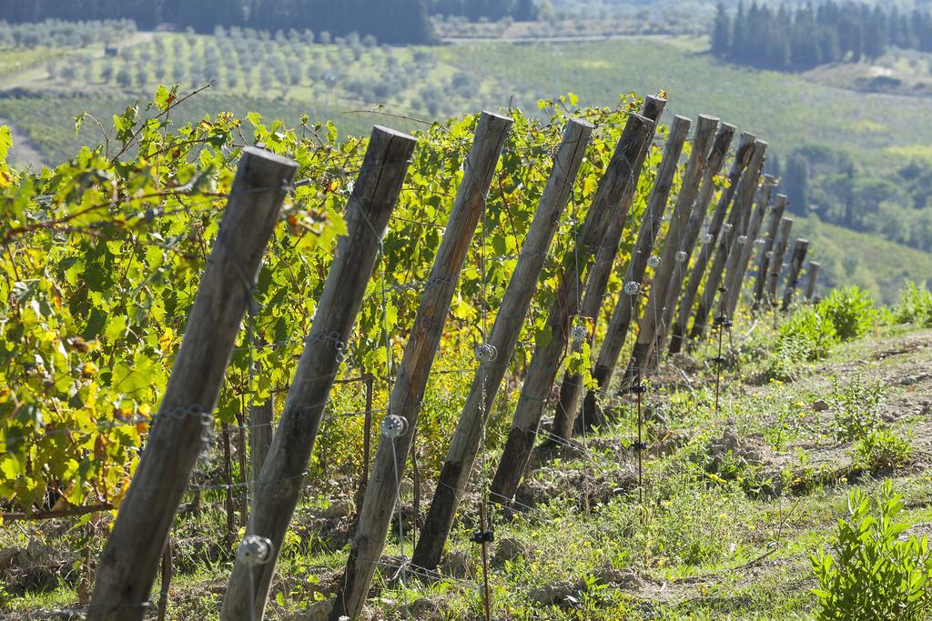 La Presura Vakantieboerderij Strada in Chianti