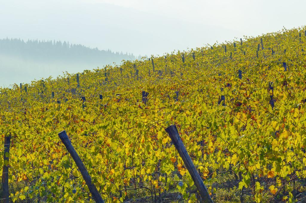 Alloggio per agriturismo La Presura Strada in Chianti