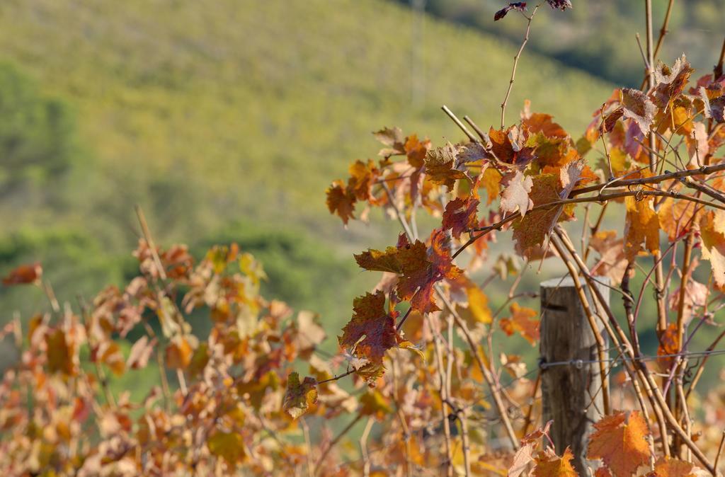 La Presura Alloggio per agriturismo *