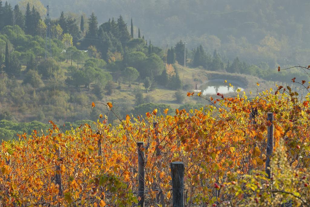 Alloggio per agriturismo La Presura *