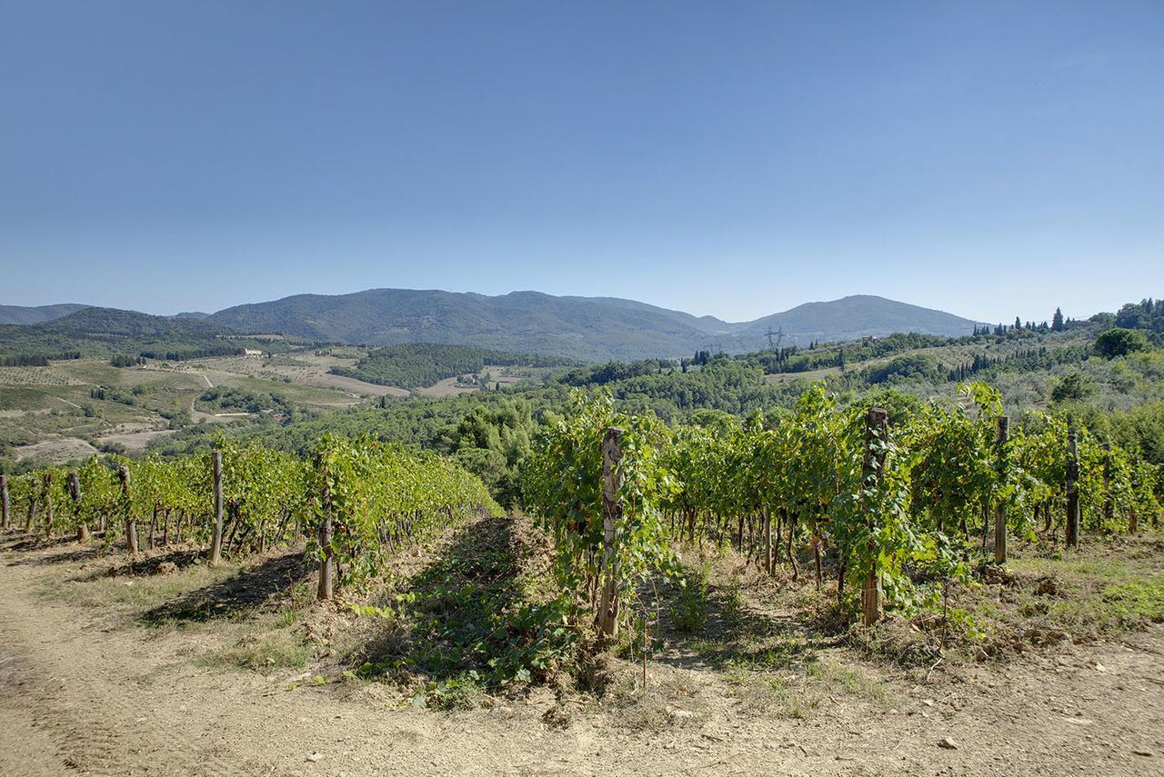 La Presura Alloggio per agriturismo Strada in Chianti